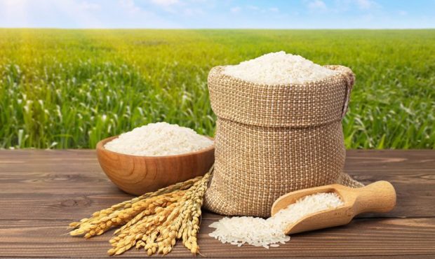 واردات برنج خارجی به ضرر تولید داخلی است واردات برنج خارجی به ضرر تولید داخلی است