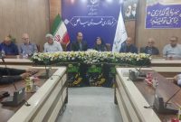 تدوین چشم انداز عملکردی یکی از راهبردهای پیشرفت روستاهاست